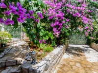 Ferienwohnung Garden Montenegro