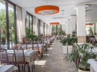 Hotel Aleksandar Montenegro