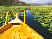 Excursion Skadar Lake 