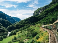 Excursion Wild Beauty By Train 