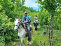Excursion Horse Riding & Mini Zoo