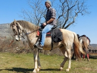 Excursion Horse Riding & Mini Zoo 
